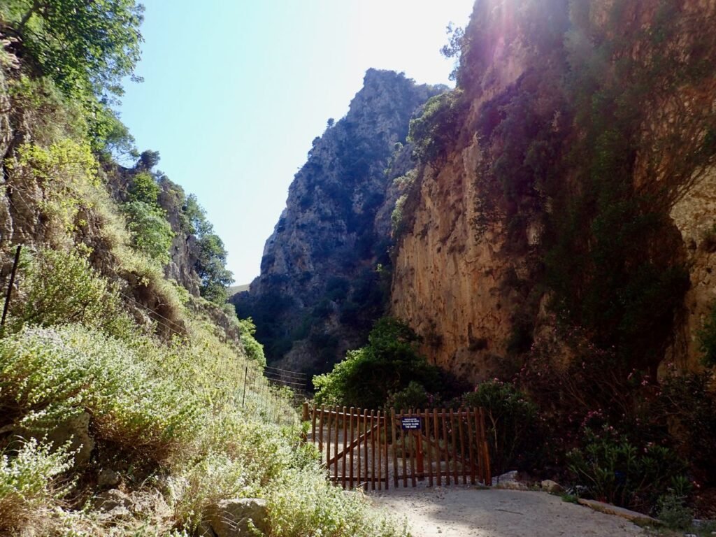 Deliana_Gorge_Mesavlia