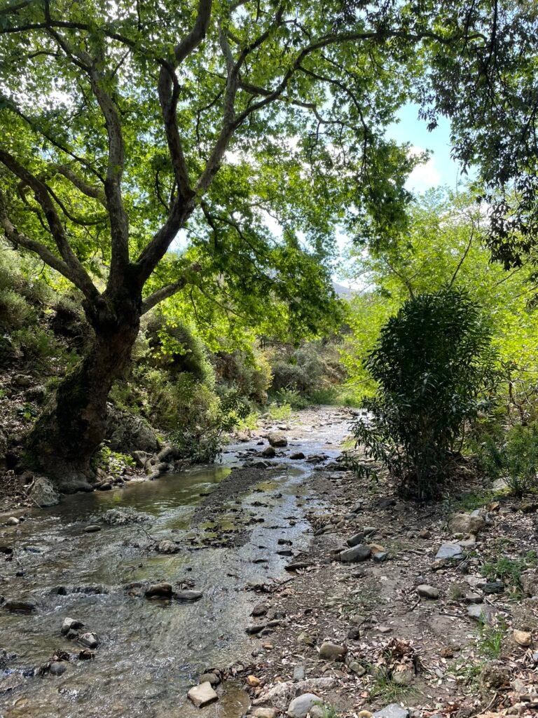 Topoliano Gorge